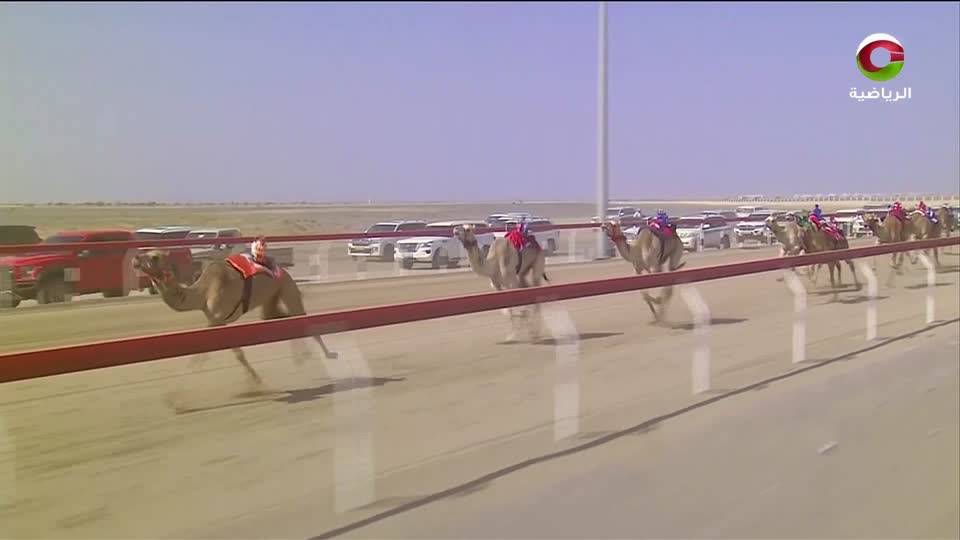 دوري الامم لكرة الطائرة 2020 - الحلقة 61