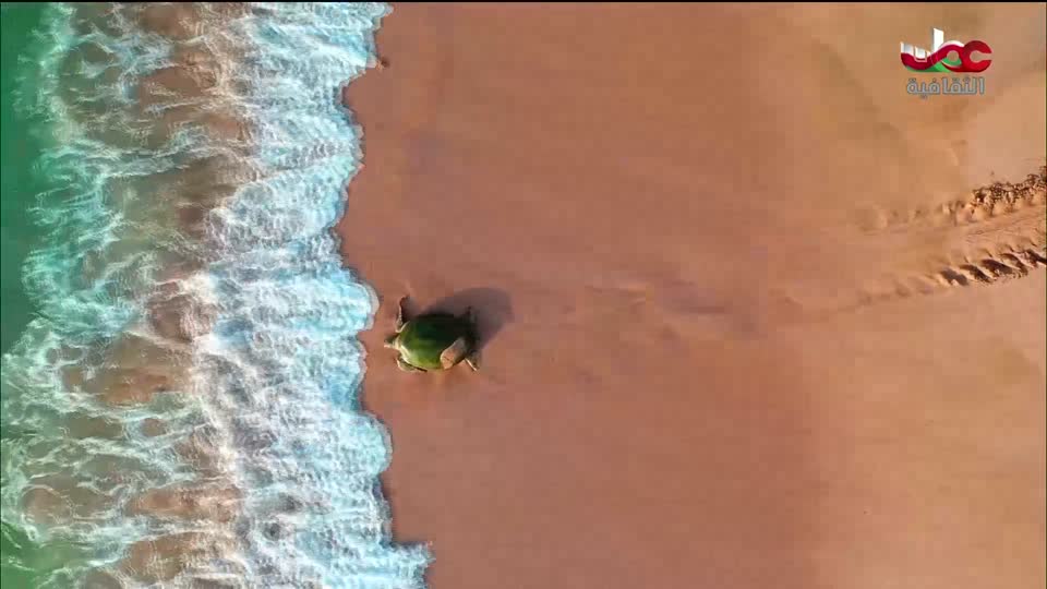 البرنامج الثقافي مقاهي عتيقة - الحلقة 15