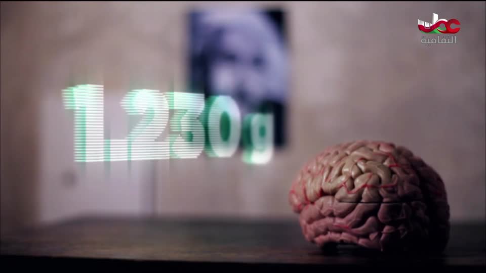 البرنامج الثقافي - هل تعلم ج2 - الحلقة 16