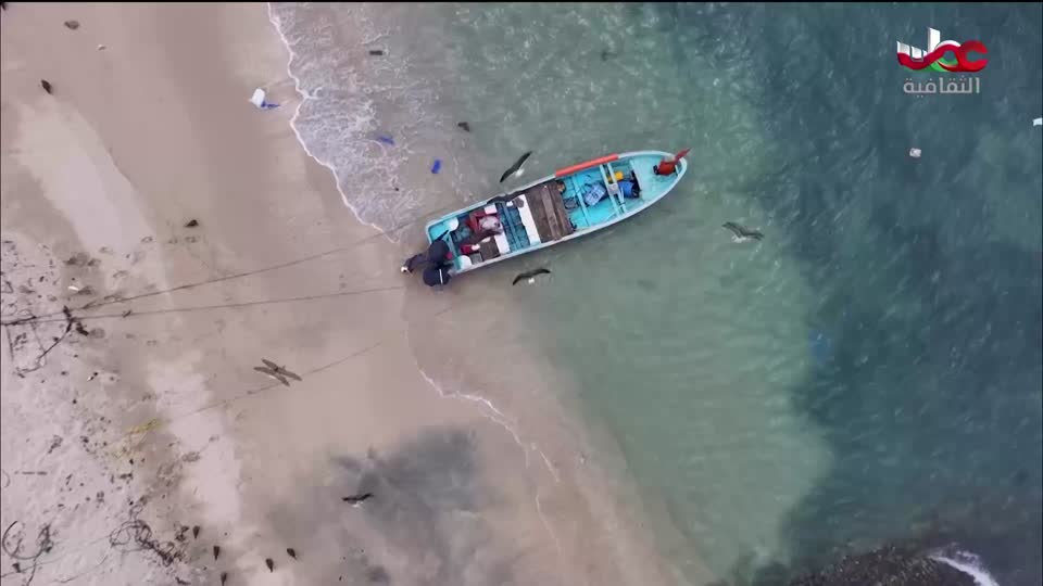 أخبار الثقافة مباشر