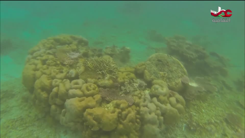 البرنامج الثقافي _ عشاق السفر - الحلقة 5