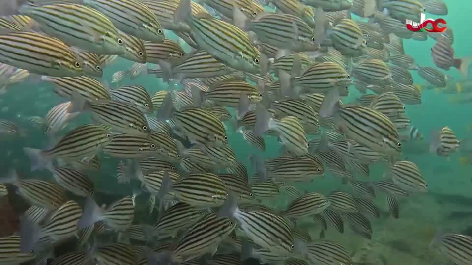 البرنامج الثقافي/مدن وحضارات