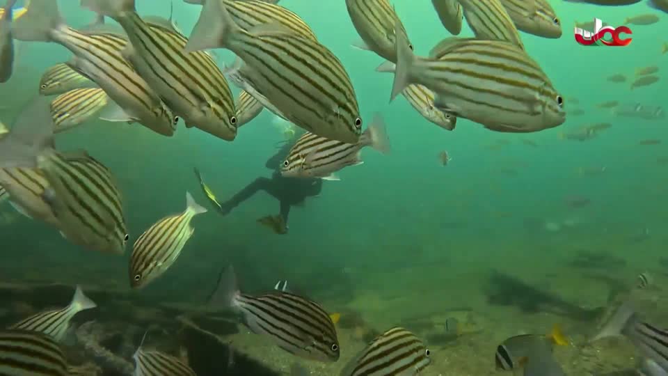 برنامج - أحسن القصص - الموسم الرابع - الحلقة 28