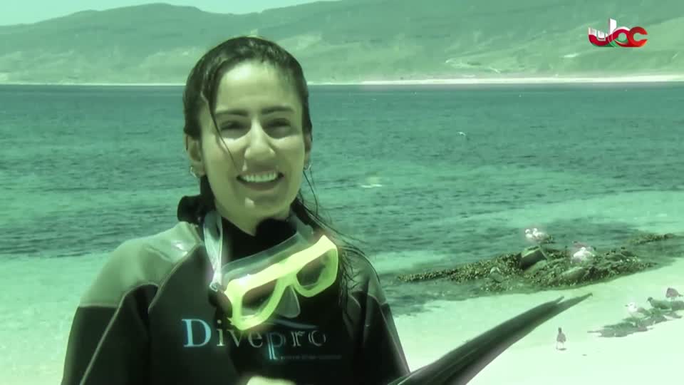 برنامج/أفنان