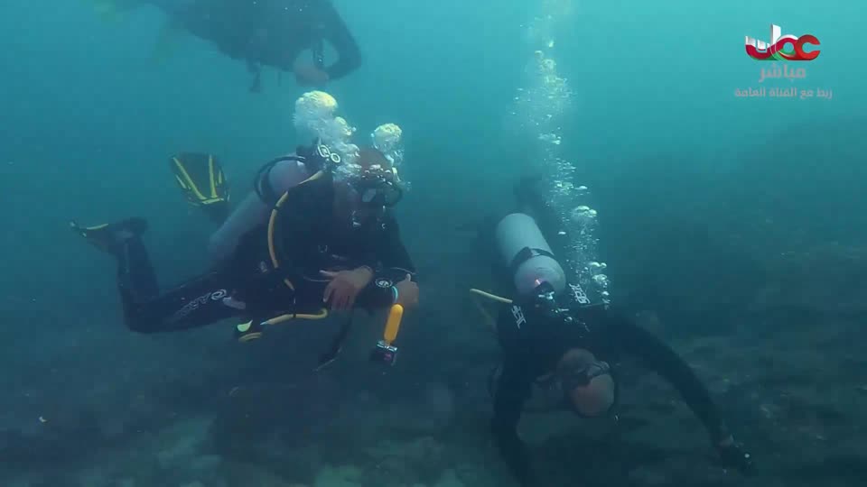 برنامج/المجهر