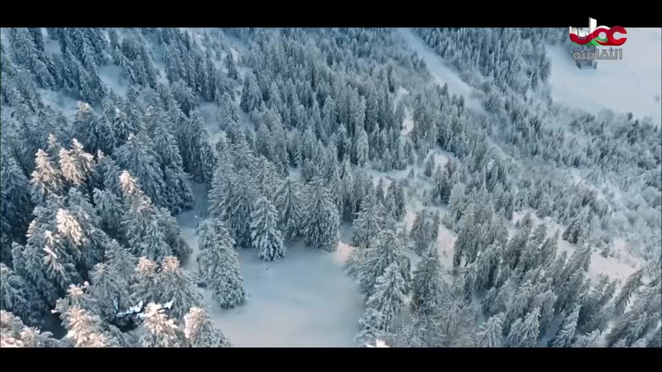 برنامج - روائع من اليابان - الحلقة 150