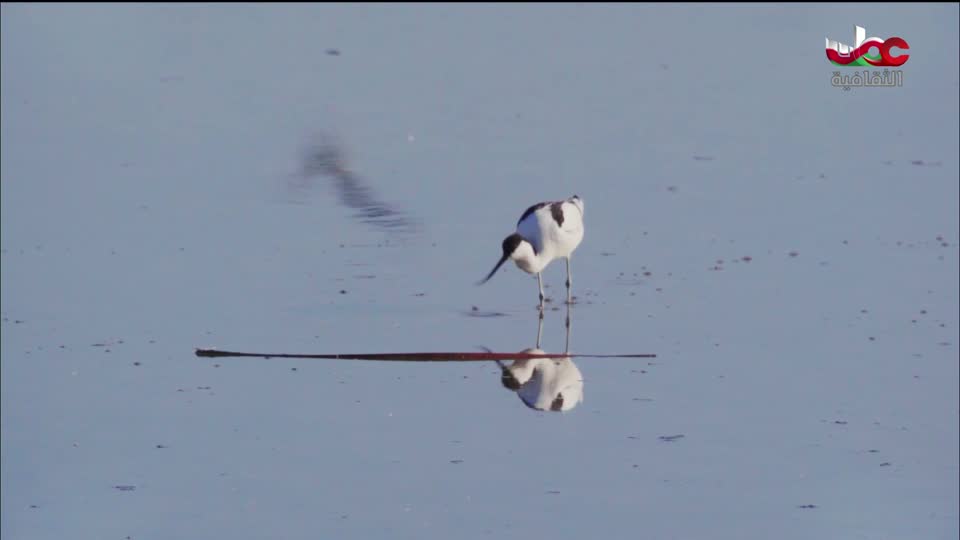 البرنامج الثقافي طرقات وعرة - الحلقة 18