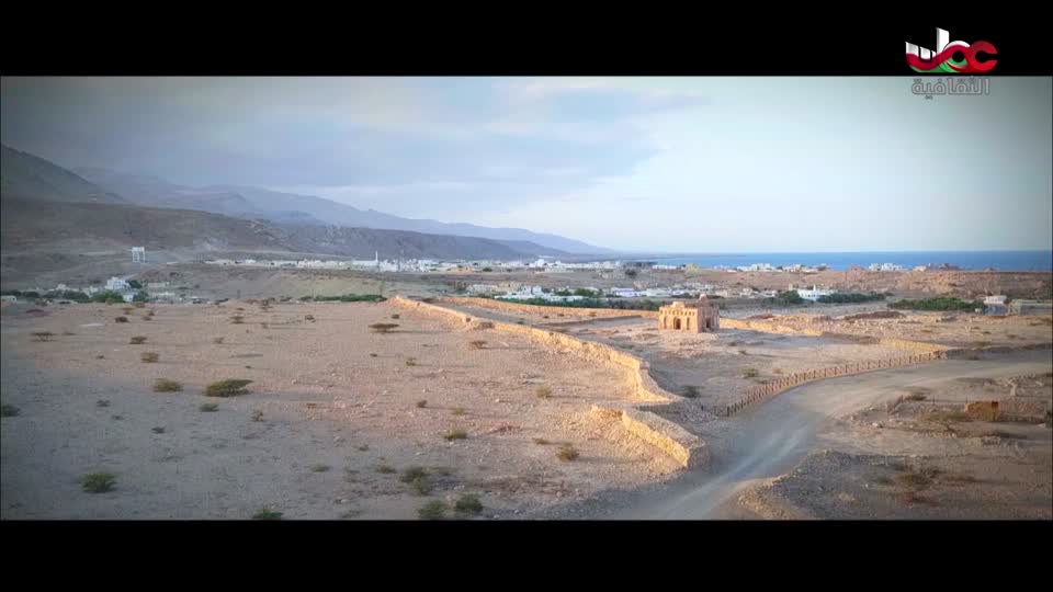 البرنامج الثقافي - عالم الأشجار