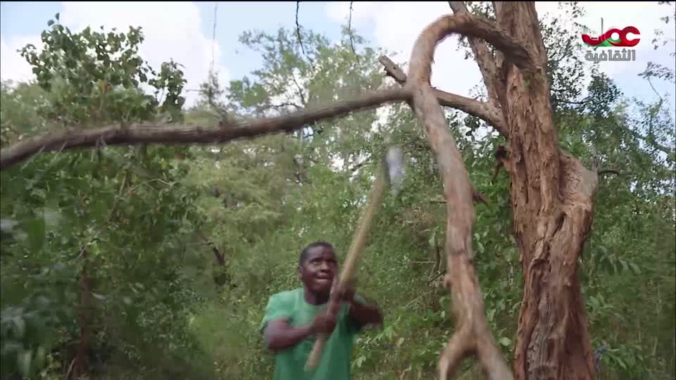 البرنامج الثقافي - أفضل الأسواق على الأرض - الحلقة 15