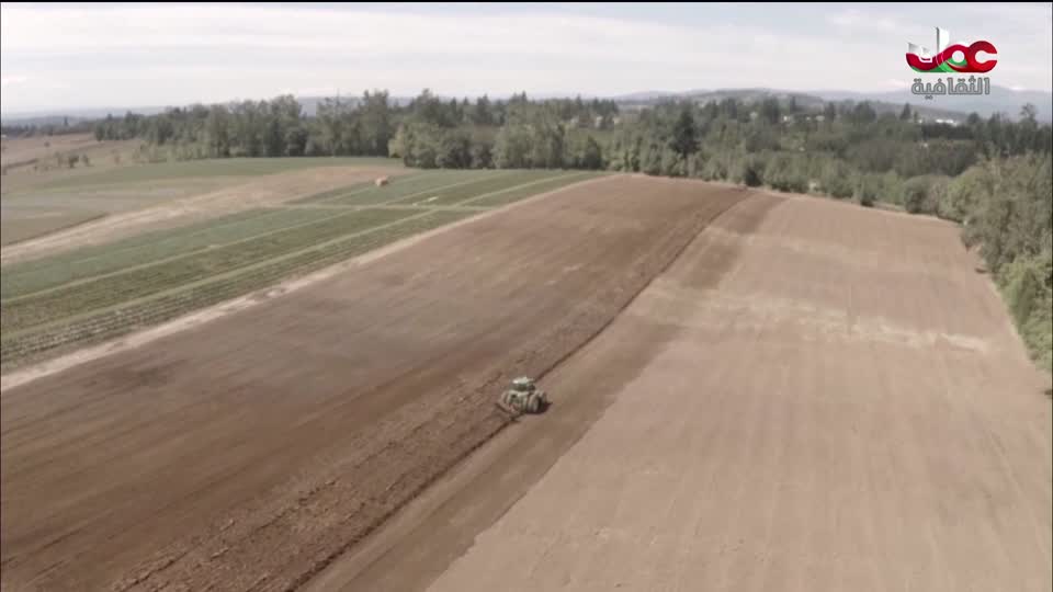 سلسلة أفلام وثائقية - أسوار