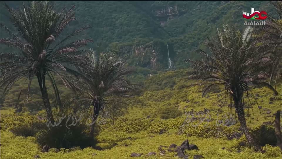 البرنامج الثقافي أرض ونار - تطور فن الطبخ - الحلقة 19