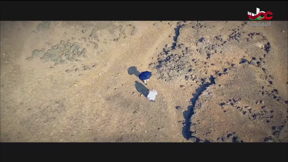 الفيلم الوثائقي - الحوت الأحدب