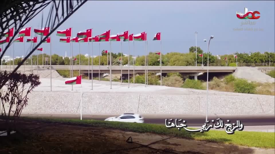 أغاني وطنية