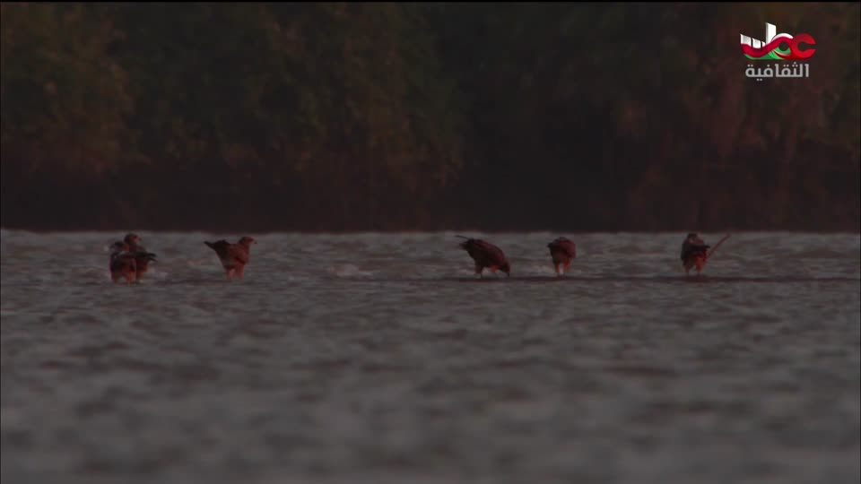 لوحات من العالم - الحلقة 19