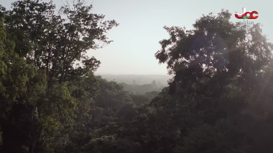 أفلام عسكرية+أغاني عسكرية