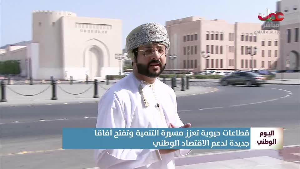 نشرة أخبار الحادية عشر