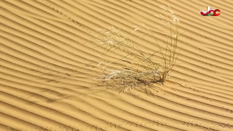 أحسن القصص+آية ومعنى