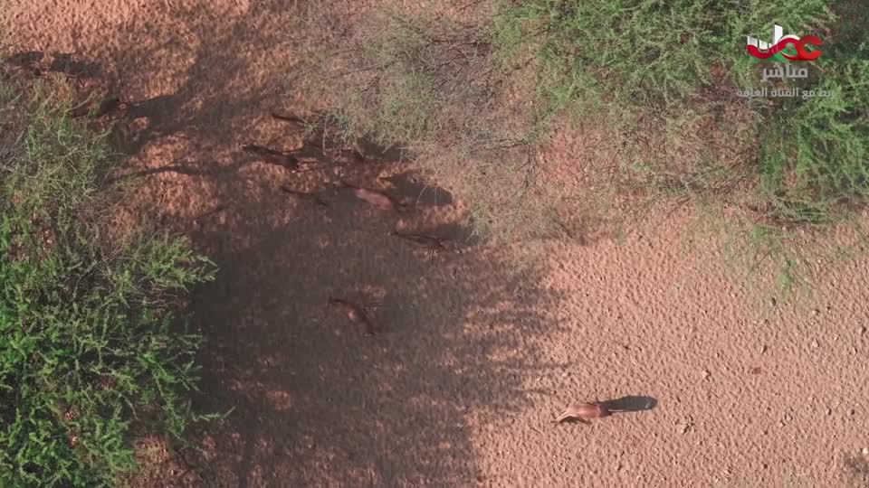 أحسن القصص+آية ومعنى