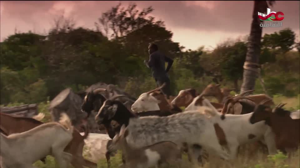 برنامج - قصص القطارات الشهيرة - الحلقة 4