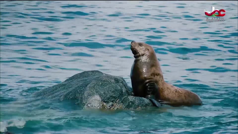 البرنامج الثقافي - رحلات استكشافية - الحلقة 2