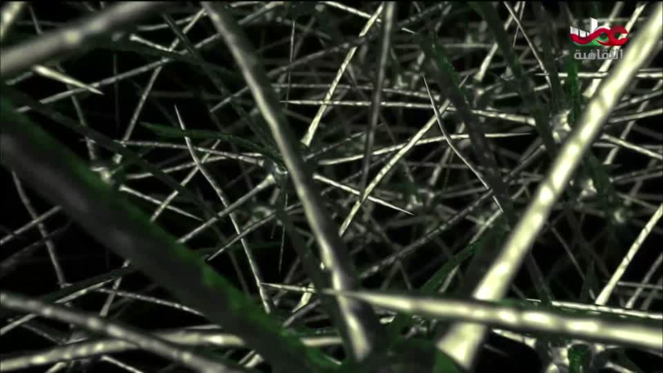 البرنامج الثقافي - الفضاء الشاسع - الحلقة 22