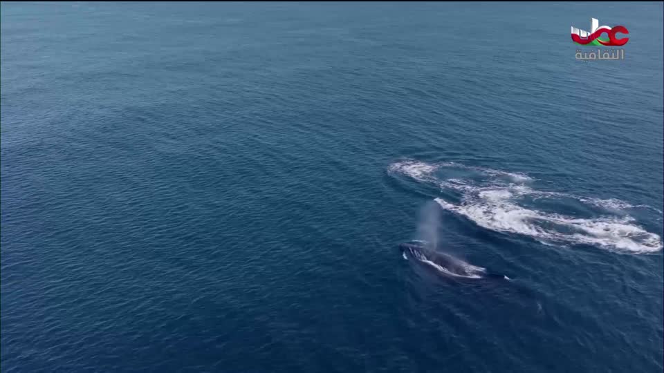 لوحات من العالم - الحلقة 22