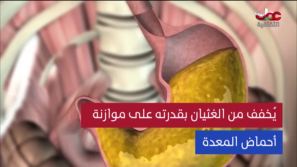 البرنامج الثقافي - عالم الأشجار