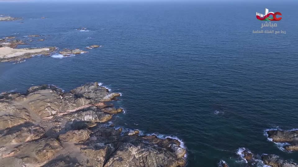 برنامج/أفنان