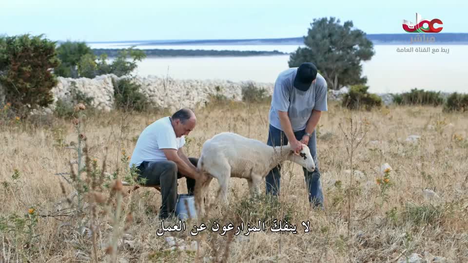 أسواق الاطعمة