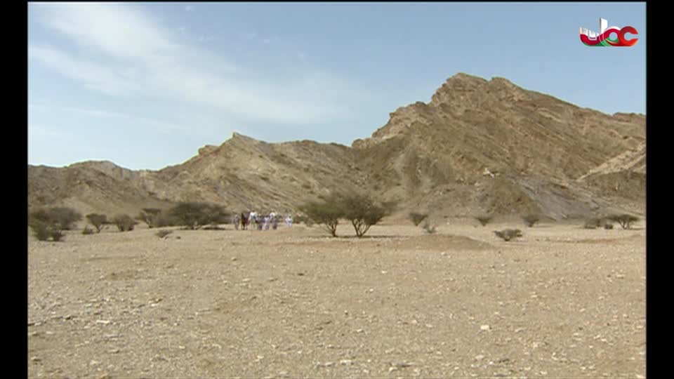 المسلسل المحلي _ الفاغور - الحلقة 11