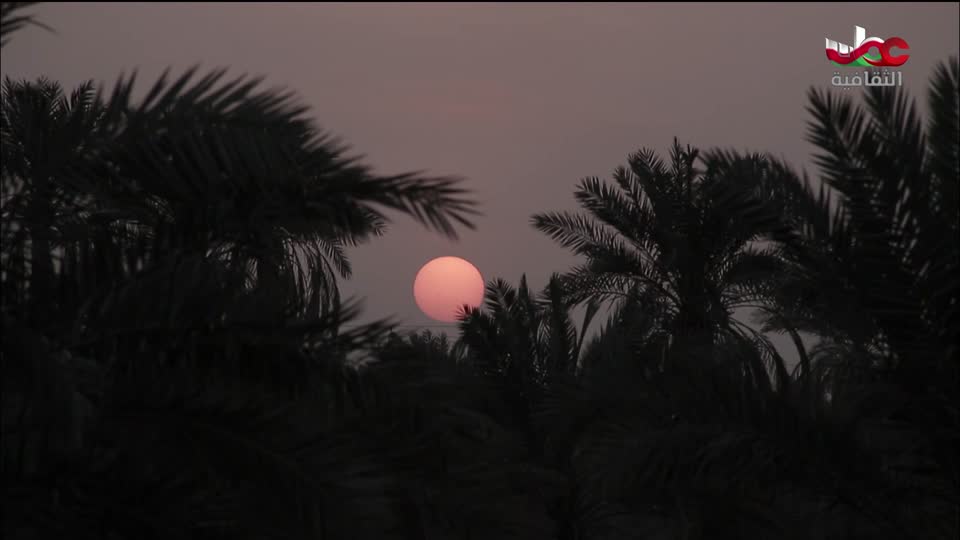 البرنامج الثقافي - أبجديات ثقافية - الحلقة 12