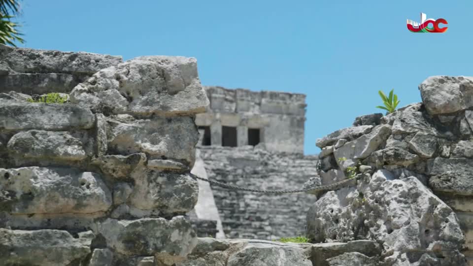 مسلسل الاطفال فريق الحماية - الحلقة 50