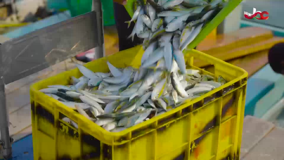 مناشدة+منهاج