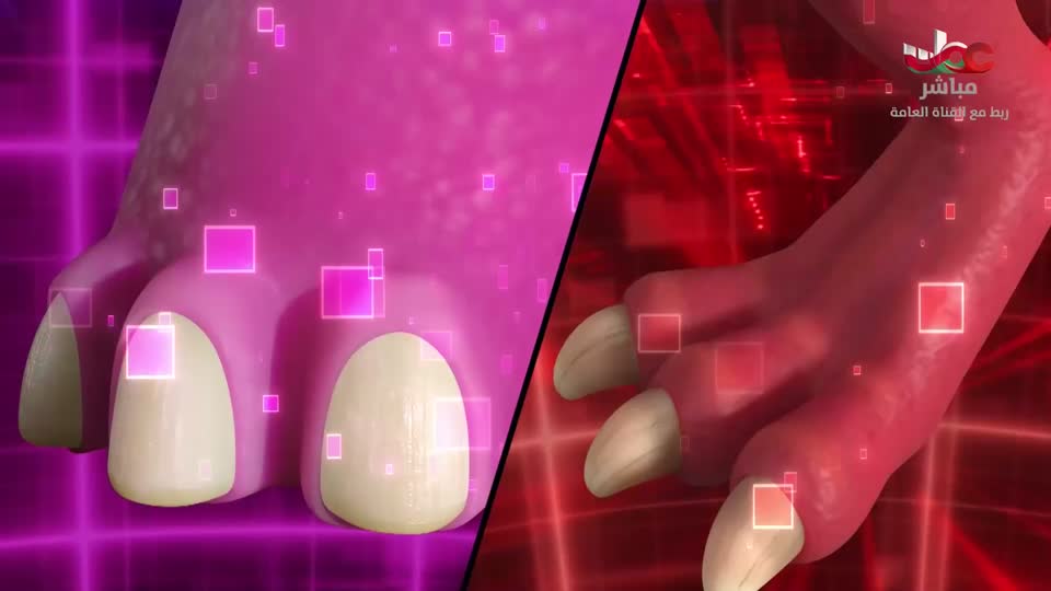 مسلسل الاطفال - فريق البحيرة الخضراء - الحلقة 2