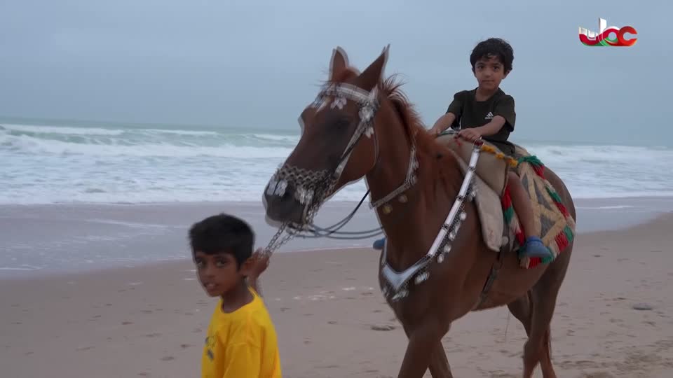 أخبار الحادية عشر