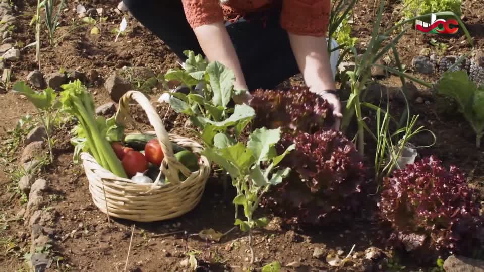 البرنامج الثقافي/مدن وحضارات