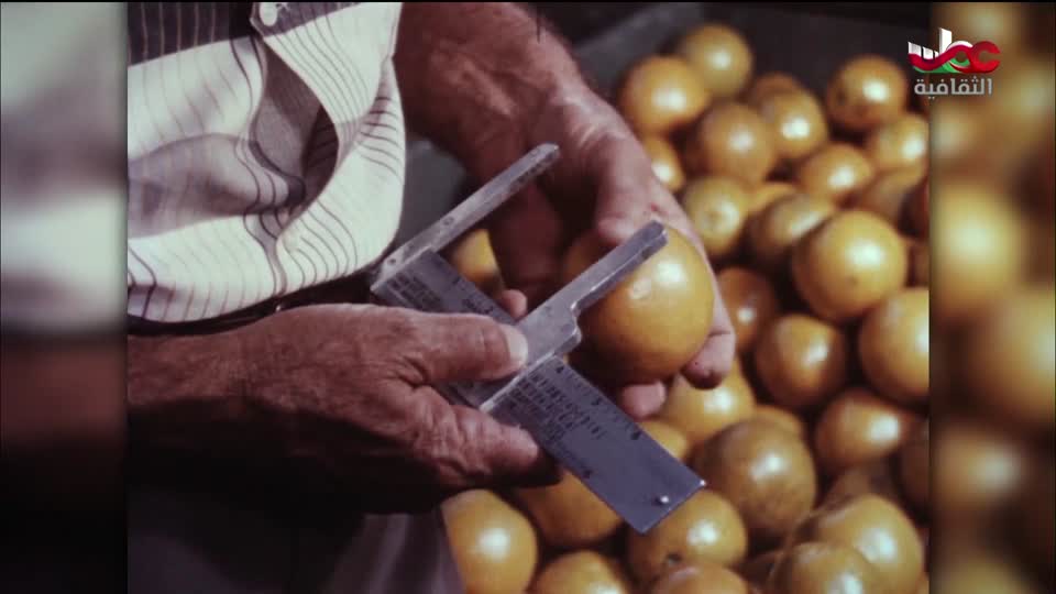 البرنامج الثقافي - اختراعات عظيمة - الحلقة 26