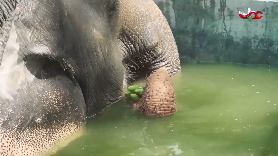 مناشدة+منهاج