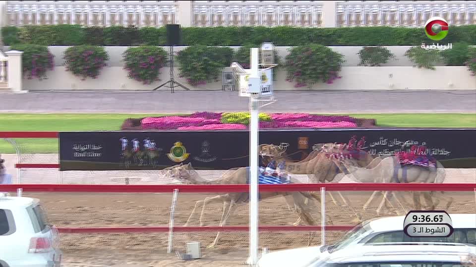 السباق الختامي لكأس جلالة السلطان للهجن - الفليج 2025 - الحلقة 7