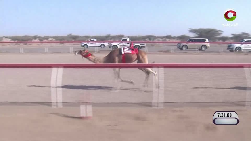 أغنيـــــــــــــة وطنيــــــــــــــة