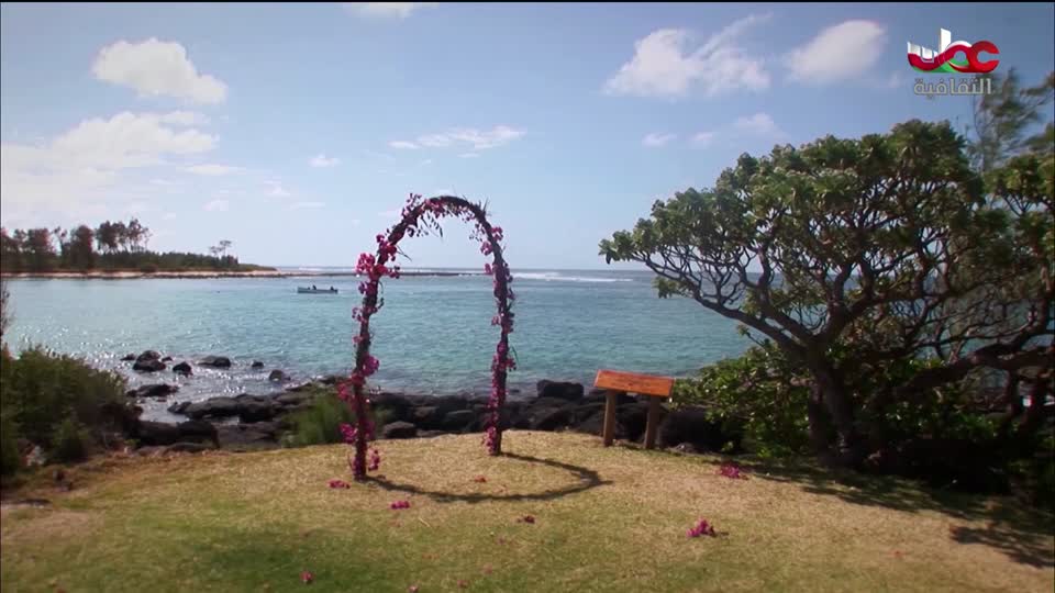 البرنامج الثقافي أرض ونار - تطور فن الطبخ - الحلقة 29