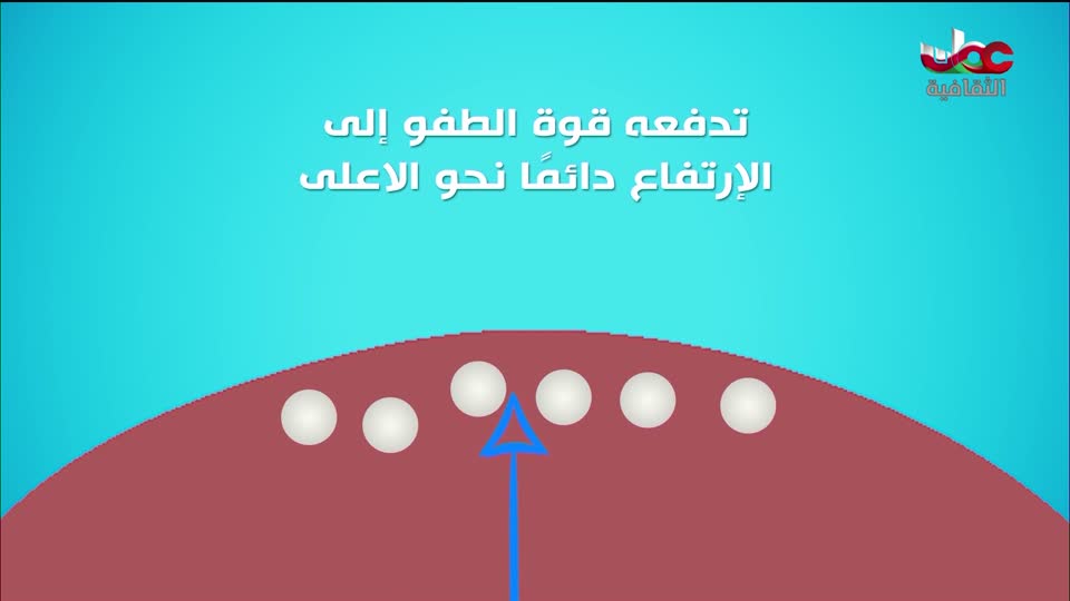 برنامج - شعراء معاصرون - الحلقة 29