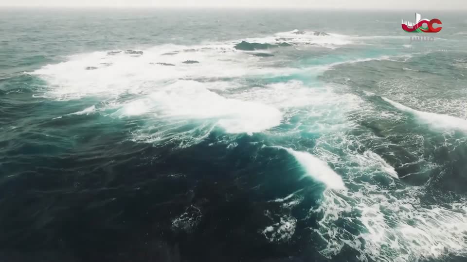 مناشدة+منهاج