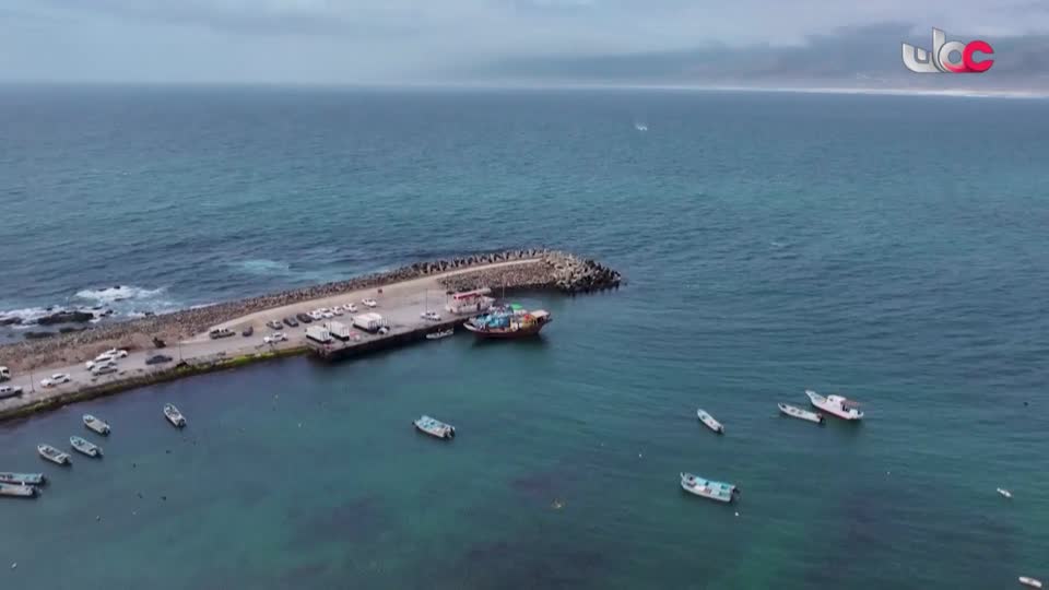 أخبار العاشرة