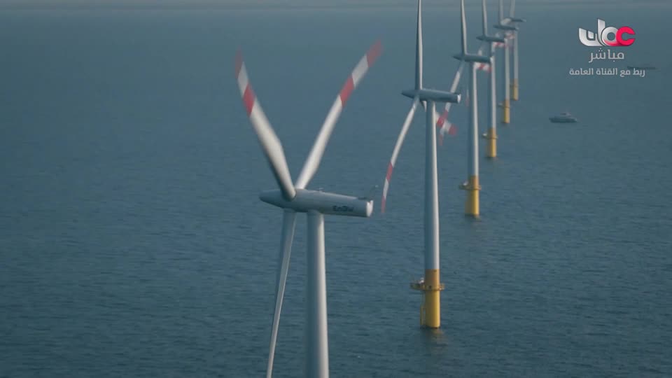 برنامج/طاقة الحياة