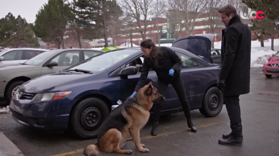 البرنامج الديني - آية و معنى ج7