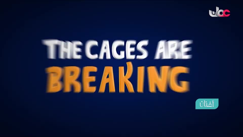 برنامج/أفنان