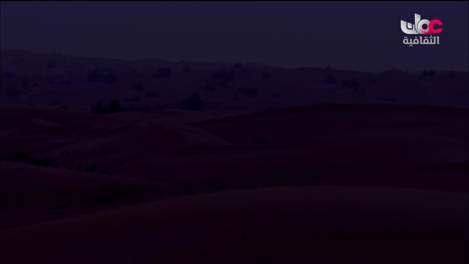 ندوة تعليم اللغة العربية وتعلمها رؤى وتجارة علمية - الحلقة 7