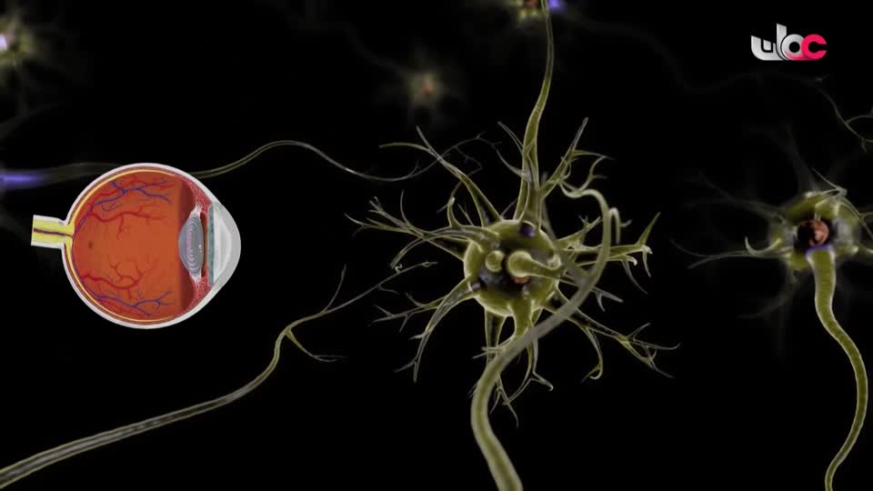 المسلسل الكرتوني - الاليون الصغار - الحلقة 4