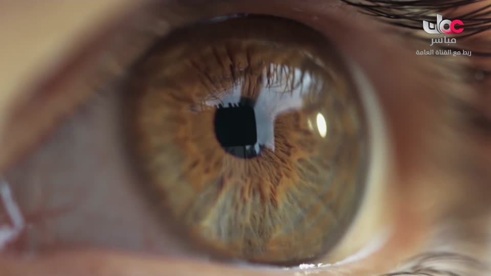 برنامج - اسرار الجسد - الحلقة 2